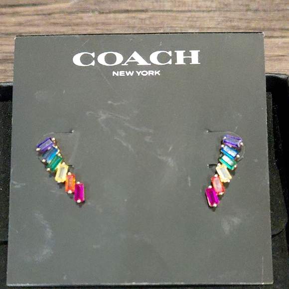 Coach Jewelry - COACH Rainbow Stud Earrings